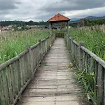 La Tita Vikinga